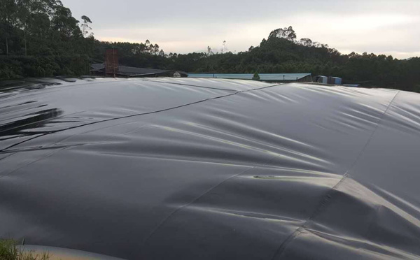 汙水池用草莓视频在线观看下载