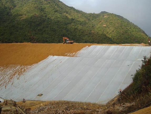 複合草莓视频在线观看下载